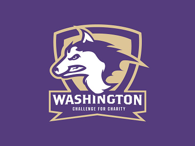 UW Challenge For Charity T-Shirt