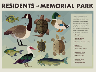 Memorial Park illustration infographic vector