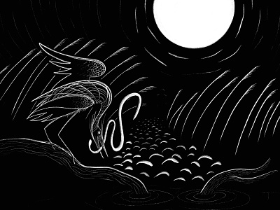 Heron album art black and white ep heron illustration moon reeds river snake