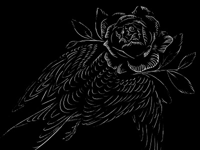 Moonbird album art bird black and white illustration procreate rose
