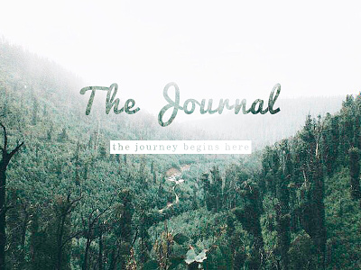 The Journal braveandco community inspire journal journey lifestyle minimal typography vintage website