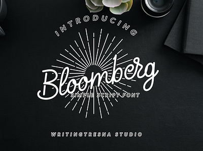 Bloomberg Simple Script Font calligraphy font font awesome font script handlettering letter lettering script simple