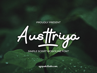 AUSTTRIYA SIMPLE SCRIPT MONOLINE FONT | NGAPAKSTUDIO.COM