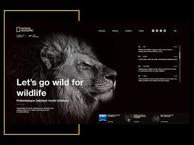 National Geographic_Landing Page Concept adobe xd amazon animals articles forest history lion lions national geographic rainforest save science travel uiux webdesign wild wild animal wildlife