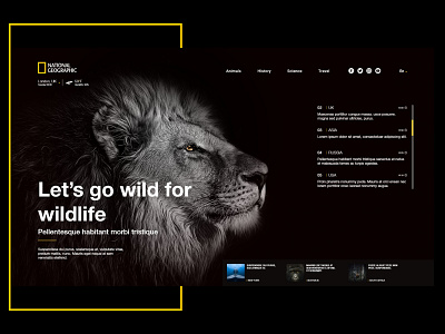 National Geographic_Landing Page Concept