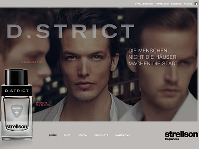 04 D Strict identity branding website