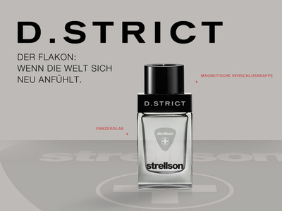 08 D Strict corporate identity branding website