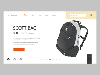 Single Product Page