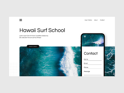 Hawaii Surf School Concept