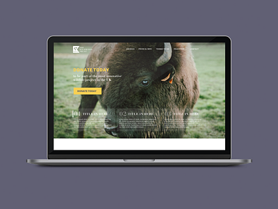 Wildlife Trust Website Concept pt.1 branding design logo ui ux web website