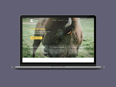 Wildlife Trust Website Concept pt.1