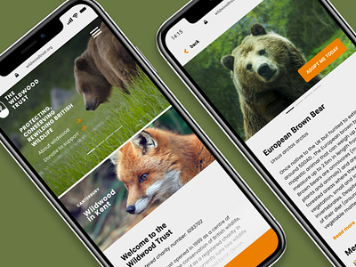 The Wildwood Trust Mobile Site Concept