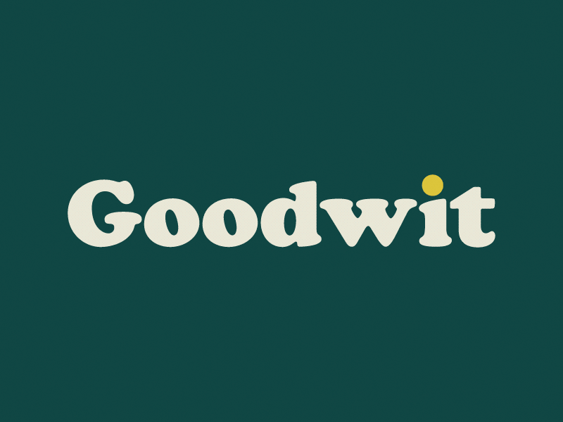 Introducing Goodwit brand agency design agency pitch deck rapid prototyping start up startup typography web design agency