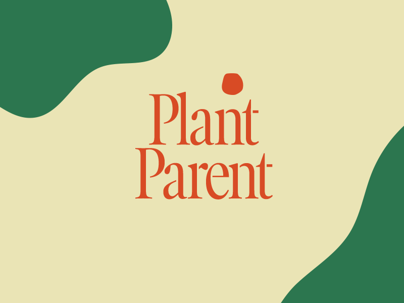 Brand Concept—Plant Parent after effects animation branding
