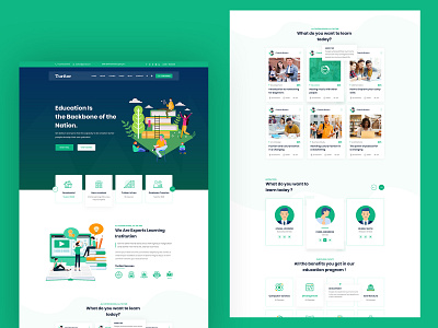 Toritor_education psd template