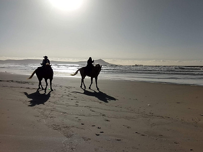 HorseBeach2