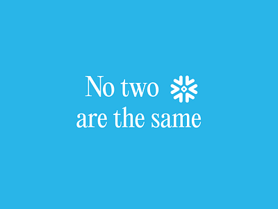 No two snowflakes are the same design