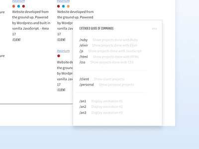 Console Portfolio Detail designer ui ux visual design