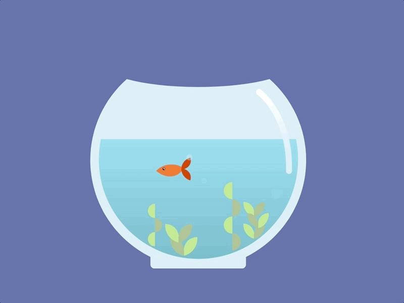 Fish bowl animation design illustration motion visual art