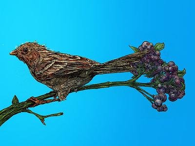 Perched bird digital illustration nature songbird