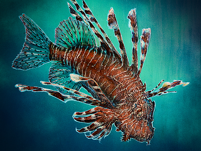 Lionfish aquarium art fish florida lionfish painting texture