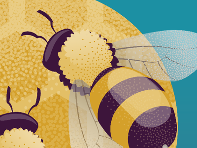 Bee Illustration