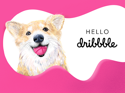 Hello, Dribbble! character corgi cute design dog fluffy fun hand drawn happy hellodribbble illustration realistic smile