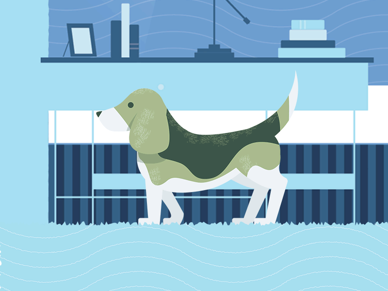 Sit! animation beagle cel dog illustration