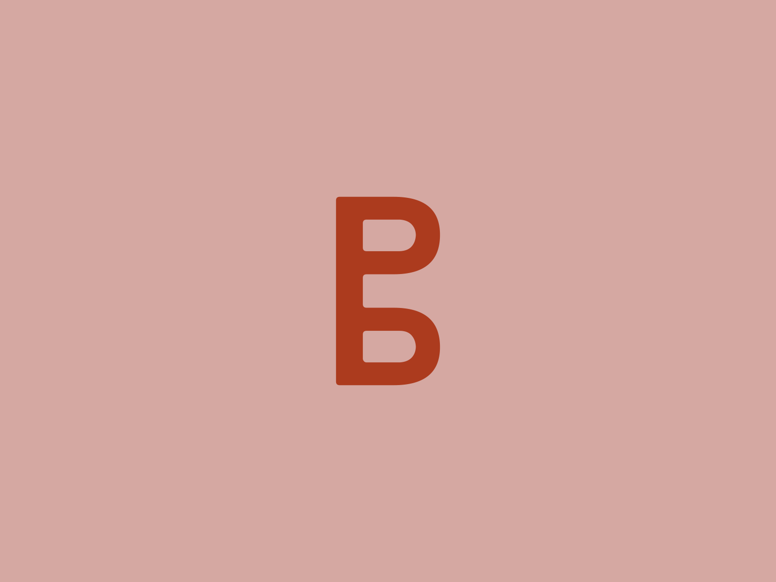 BeruCesko branding color design graphic identity logo typeface typography vector