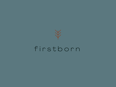 firstborn logo branding color design geometric graphic icon identity illustration logo plant prague shape typography vector