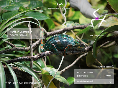 Augmented Reality (3/3) augmented experiment reality ui virtual zoo