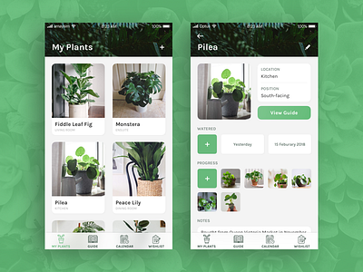 Plant Tracker app concept plant sketch