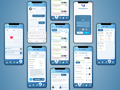 Task Managment graphic design mobile ui ui
