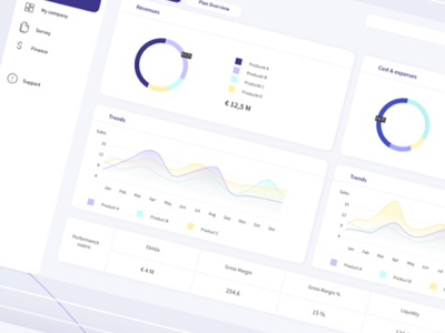 Financial systems supporting companies