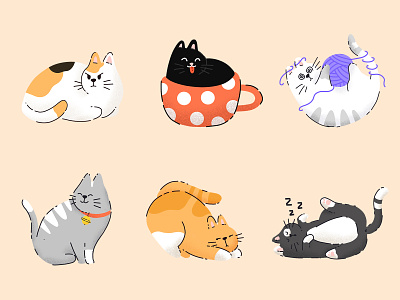 Cats & Kitties animals cat cats character cute design flat funny icons illustration pets procreate stickers