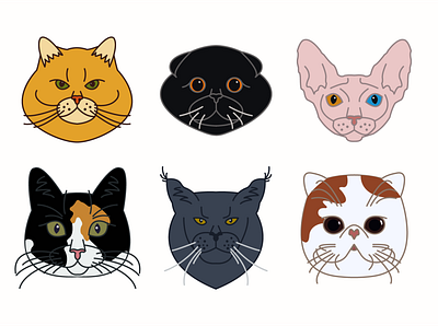 Free Cat Icons cat cats design flat icon icons illustration illustrator minimal vector