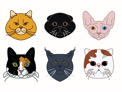 Free Cat Icons