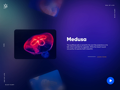 Jellyfish Landing Page - Card Interaction ae aftereffects animation cards interaction jellyfish landingpage ui web web design