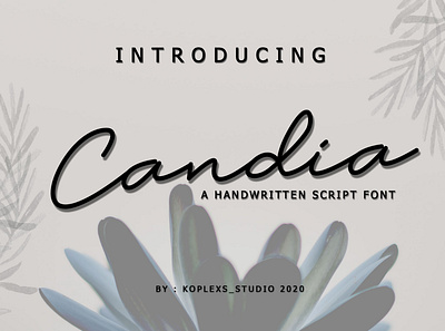 Candia Sript Font design display elegant font fonts funny handmade handwriting handwritten illustration logo logos playfull quotes typeface wedding invitation