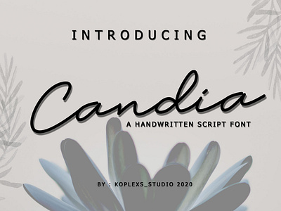 Candia Sript Font