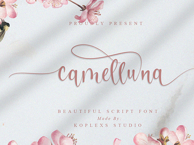 Camelluna Script Font display elegant elegant fonts fonts handlettering handmade handwriting handwritten playfull typeface