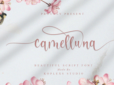 Camelluna Script Font display elegant elegant fonts fonts handlettering handmade handwriting handwritten playfull typeface
