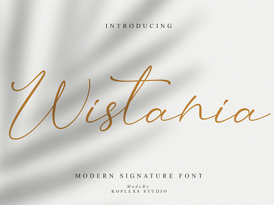 Wistania Modern Calligraphy luxury font wedding font