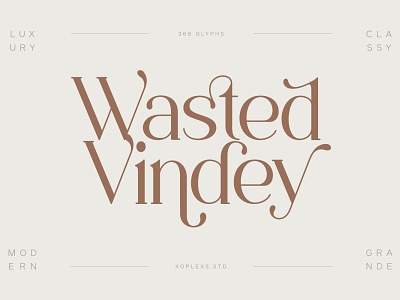 Wasted Vindey - Classy Serif Font chic classy display elegan fonts handwritten modern playfull sans serif serif typeface