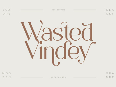 Wasted Vindey - Classy Serif Font aesthetic fonts best fonts chic classy cute fonts display elegan elegant fonts free cursive fonts handwritten logo modern modern fonts playfull sans serif serif typeface