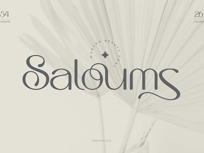 Saloums - Modern Serif Font beauty display elegant fonts handwritten modern playfull typeface