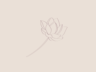 Lotus Illustration flower handdrawn illustration lotus