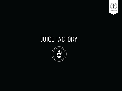 Juice Factory_Brand Identity + package design branding graphic design juice logo package design packaging photography vector