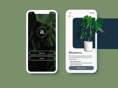 Daily UI 003