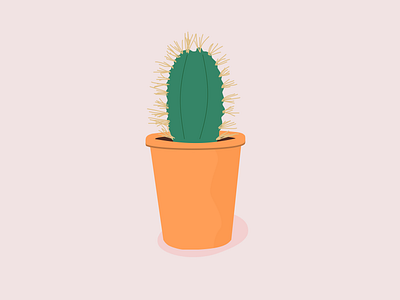 Cactus illustration animation app art design illustration logo prototype ui ux web